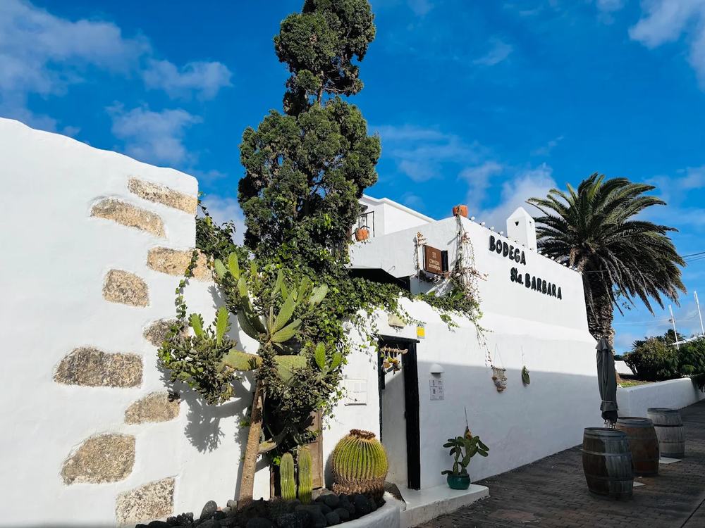 Fachada de Bodega Santa Bárbara de día, entre cactus